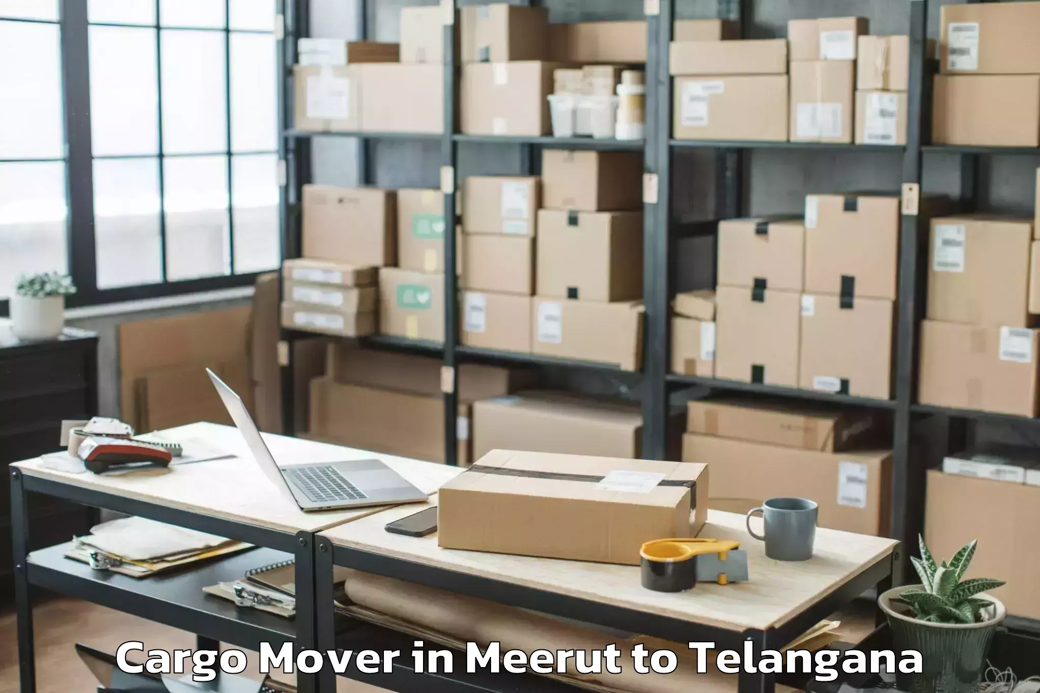 Top Meerut to Vemsoor Cargo Mover Available